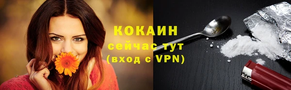 прущие грибы Усинск