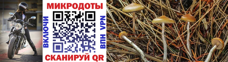 Галлюциногенные грибы Magic Shrooms  закладка  Коряжма 